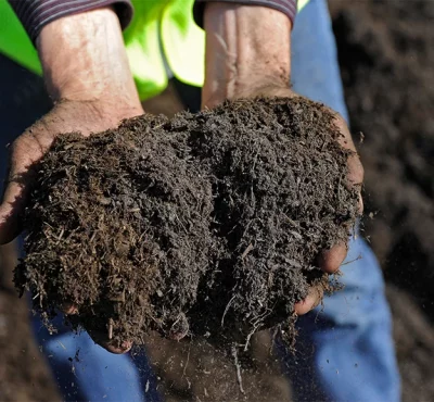 podzakladka-edukacja-proces-kompostowania