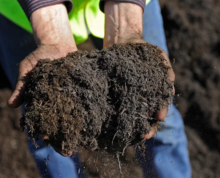 podzakladka-edukacja-proces-kompostowania